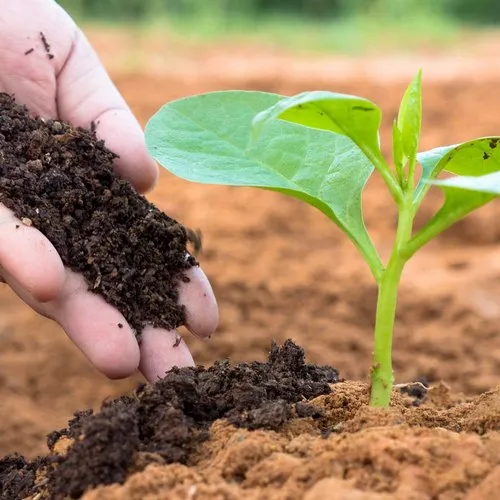 Organic ManureBenefits