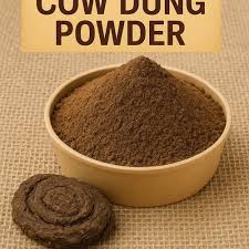 Cow dung powder