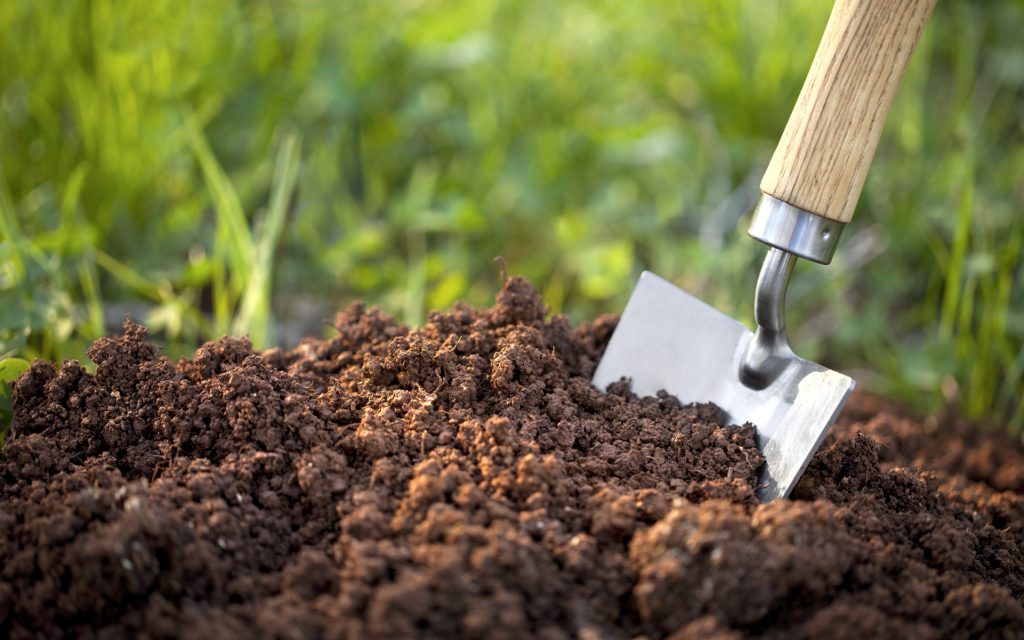 ManureOrganic Spices